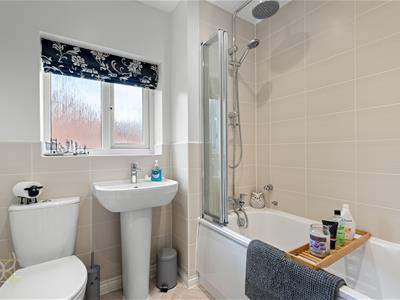 Picture 21